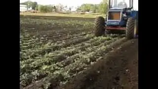 Бизон самодельный