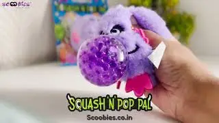 Squash 'N' Pop Pal | Scoobies