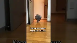 Когда в душе горячий испанец