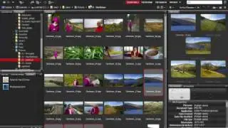 Amazing hidden features in Adobe Bridge CS5 and CS4!