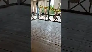 Аниматор / ниндзя черепашки