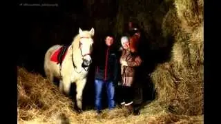 Horse the only favorite horse
