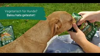 Christopherus Produkttest Veggie 2023