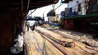 Зарплата и работа на рыболовном морском судне