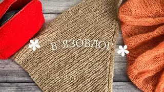 Вʼязовлог 7ʼ25 // пухнасті процеси