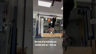 Day one of trying my one armed pull up / chin up