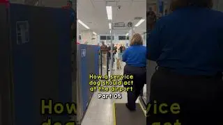 TSA lost my service dog’s collar!