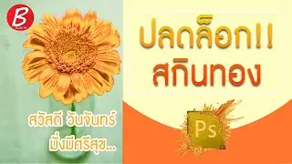 2ฟังชั่น เปลี่ยนดอกเป็นโทนสีเงิน+ทอง ใน10นาที!! I Photoshop 2021