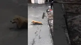 Да мне туда надо
