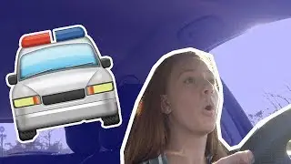 RECKLESS DRIVE WITH ME (THE COPS CAME)