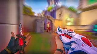 0.24 + 1000DPI = Annihilation | Astrodox 🇵🇰