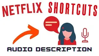Netflix Audio Description