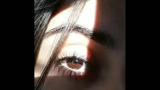 [FREE] SHILOH DYNASTY X LOFI TYPE BEAT - PRETTY BROWN EYES