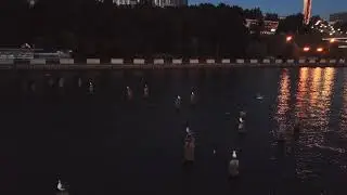 Чайки, Ижевский пруд