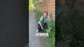 😱СОСЕДИ #юмор #приколы #прикол #шутка #шутки #смешно #смех #смешноевидео