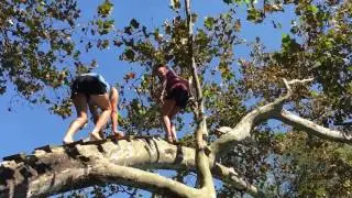 BOX Float Function 2016