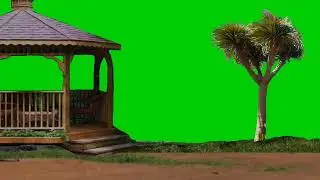 Tree blowing green screen nature video backgrounds