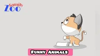 Funny Animal | Funny Animals | Funny Animal Videos | Cats | Funny Cats | Dogs | Zoofamily