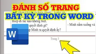 Cách đánh số trang bất kỳ trong Word dễ thực hiện