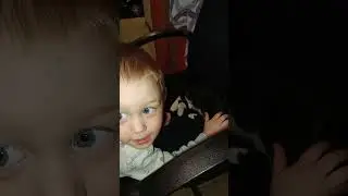 Новый член семьи 👨‍👩‍👧 #кот #рекомендации #baby #дети #семья