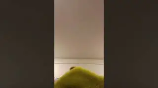 Антон 2