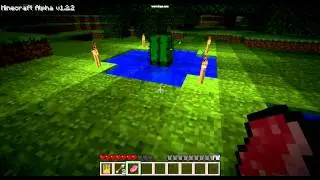 Cactus Trap 1