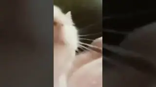 Я не знаю чё писать