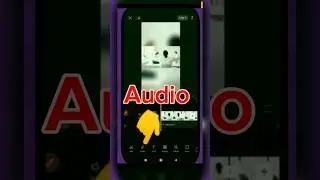 How to Add Audio in Capcut 🔥
