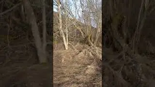 Холодильник-альпинист