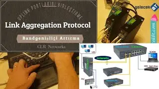 Link Aggregation - Uplink kapasitesini artırmak için portları birleştirme