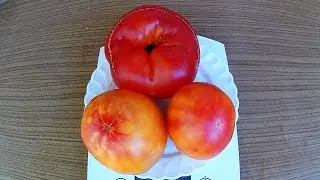 Mary Robinson. Tomato - Mary Robinson