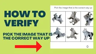 Please solve this puzzle so we know you are a real person || How to verify with this images