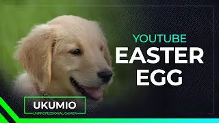 Youtube TV Doggo Easter Egg