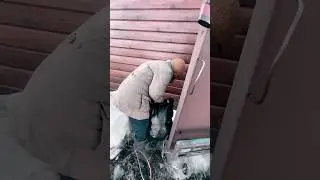 ДОБРЕЙШАЯ БАБУШКА С БАНОЧКАМИ #2024 #будниприёмщика #делайдобро #shortvideo