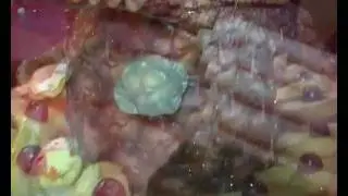 a.mp4