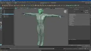 Auto Rigging in Mixamo