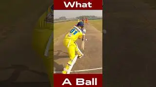 a dream ball #shortsfeed #cricket