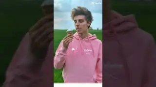 #а4#ЛЕВ#Али #тигр