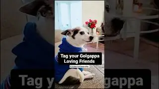 Share with a Golgappa Lover 🎃#shorts #short #funny #funnydubbing #dubbed #trending #youtubeshorts