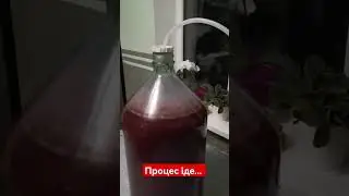 Процес іде...