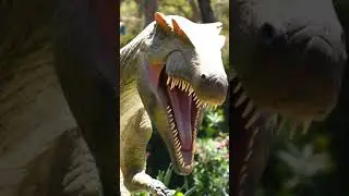 amazing Animals 😳#shorts #viralshorts #fish #fishing #amazingfish #trendingshorts #tiktok #cow