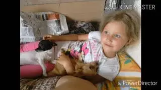 Очередной клип про Ангелину 😥 Скучаю!