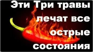 Три травы, которые лечат почти все острые состояния 