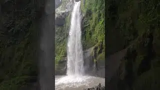 30 metre yükseklikten dökülen Karadeniz'in en güzel şelaleleriden #ohtamışşelalesi #ulubey #ordu
