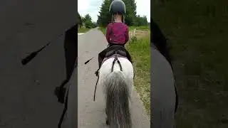 Прогулка на лошадях