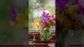 Доброе утро! Пусть день будет чудесным!