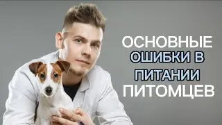 Основные ошибки в питании питомцев.