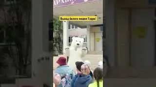 Выход белого мишки Гарри! Дети ХМАО встречают бурно и активно.