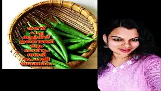 രണ്ട് പച്ച മുളക്ക് ഉണ്ടെങ്കിലും ഈ ഓണം അടിപൊളിയായ് ഉണ്ണാം Btechmixmediatips