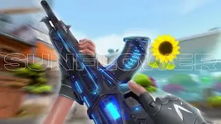 Sunflower 🌻 (Valorant Montage)